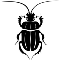 Black illustration of a tropical beetle. The insect is a pest of forests and gardens. Drawing for tattoo