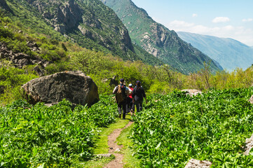 Fototapeta na wymiar Tourists walk along a mountain path on a sunny day.Mountain landscape.