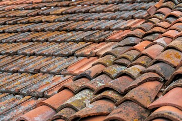 two types of tiles covered with mold