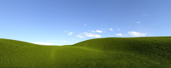Obraz na płótnie Canvas 3d rendering image of a green field of grass and a bright blue sky. 