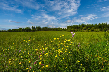 Beautiful spring prairie fields and blue skies in the countryside of Ribatejo - Portugal. Prairie fields of Chamusca - Portugal