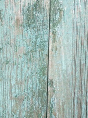 Obraz premium Green wood background, Vintage timber texture 