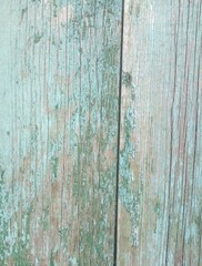 Green wood background, Vintage timber texture
