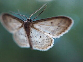 Obraz premium OLYMPUS DIGITAL CAMERA