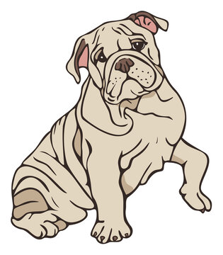 Vector illustration of dog with raised paw. Bulldog colored and depicted by a line.