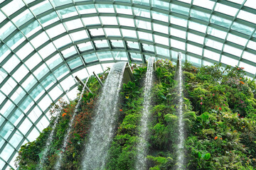 Low angle shot of the waterfalls flowing down the bushes in the Binhai Bay cloud forest in Singapore