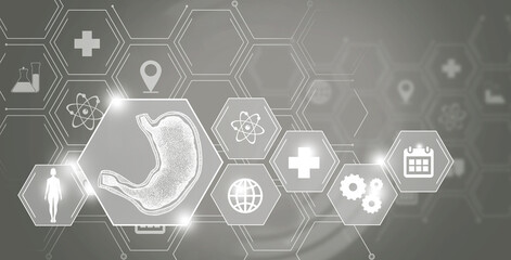 Graphic illustration of Stomach organ marked by hexagon molecule. Healthcare concept background with medical icons.