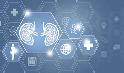 Graphic illustration of kidneys organ marked by hexagon molecule. Healthcare concept background with medical icons.