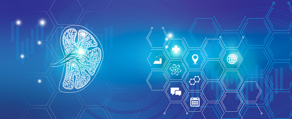 Graphic illustration of Spleen organ visualization. Healthcare concept background with medical icons.
