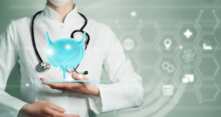 Unrecogrnizable female doctor holding graphic virtual visualization model of bladder organ in...