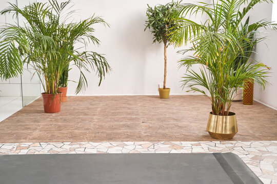 doing yoga exercise at home. Health care online lessons. Indoor fitness workout. Remote sport trainer. Morning activity. Floor pilates mat. person lifestyle