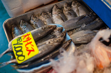 Fish at japanese fish market