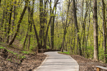 Obraz premium A concrete winding path going down and into the distance, in a spring park. Trees without leaves, brown, fallen leaves