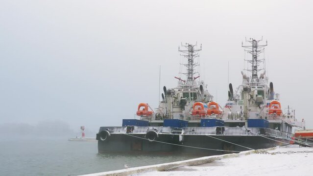 Towboats are in seaport. Pushboats floating in harbor, port. Shoalbusters moored at wharf. Tugboats are at quay in fog. Marine landscape with tugs, ships near seashore, ripple on water surface