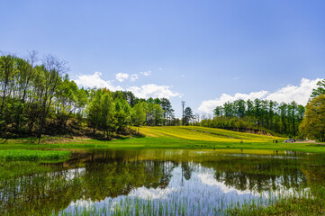 春の幻の池と中山高原キャンプ場