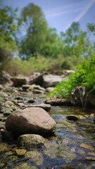 River streem flowing in the forest, pink rock, lot of greenery