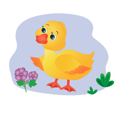 domestic animal in cartoon style. vector image.