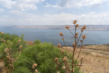 View of the Sea of Galilee and the Golan Heights