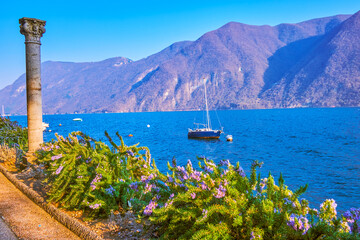 The scenic view on the line of blooming rosemary bushes and great mountains on the other siude of...