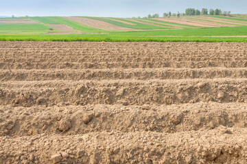 Plowed Field in the Springtime