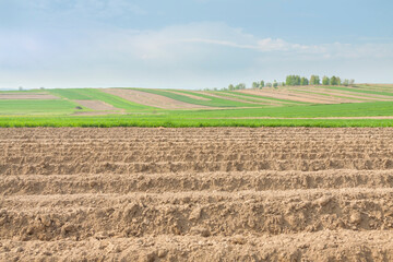 Fototapeta na wymiar Plowed Field in the Springtime