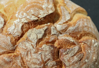 Ukrainian grain bread in summer