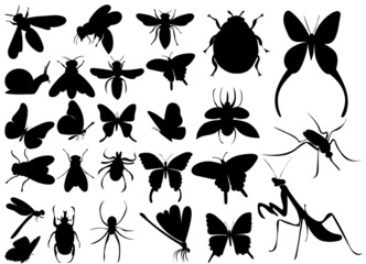 insects set silhouette, on white background, isolated, vector