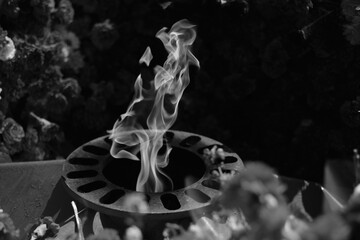 Tongues eternal fire among flowers roses and carnations laid to eternal flame.On black white photo.