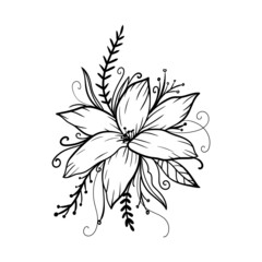 illustration black and white lines graphics nature abstract Lily