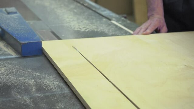 Close-up of cutting wood on a circular saw in a joinery. Furniture manufacture.
