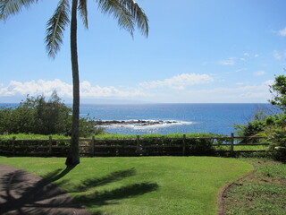 Shiny deep blue sea, rocks in the middle of the sea, palm tree and its shadow over a green lawn, wooden fences and clear blue sky with white clouds. Beautiful view at Kapalua, Hawaii, Maui.
