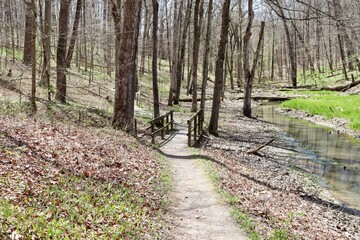 The old wood footbridge on the trail in the forest.