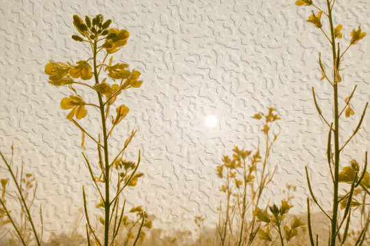 Winter morning - dew drops on mustard plants and sun rising in the background. Oil paint image.
