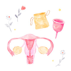 Watercolor set of menstrual cup, uterus illustration. Hand-drawn image isolated on the white background.