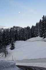 Highway through snow-covered hills with fir trees growing on th