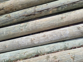 Stacked pine logs treated for mold, fungus and rot. Poles for equipment. Low quality lumber....