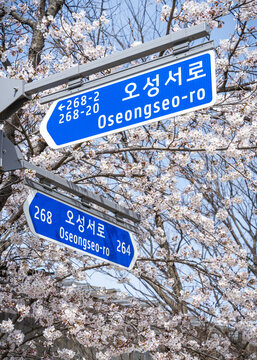 Closeup Of A Street Sign In South Korea