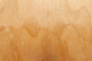 Textur Funierholz Buche