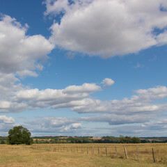 Obraz premium field and sky