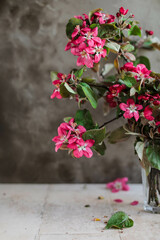 Obraz na płótnie Canvas Bright pink apple tree flowers on blooming branches on a beige table. Beautiful spring flowers.