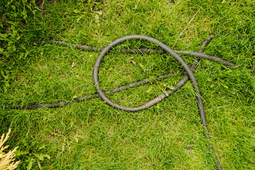 A rubber irrigation hose lies on the green grass in the meadow.