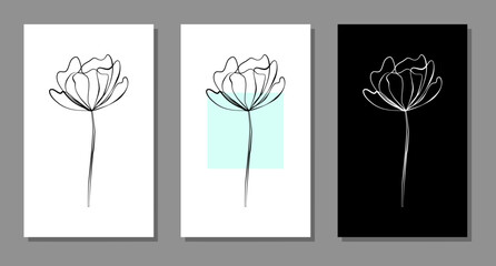 Vector botanical wall arts, with flower. Minimalistic and natural. Flower and line arts design.