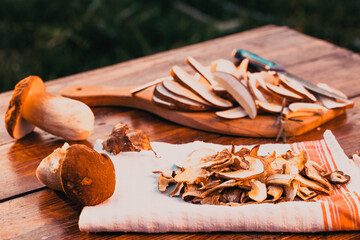preparing fresh boletus edulis for drying over Wooden Background. Autumn Cep Mushrooms. Cooking...