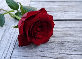 Red rose on a wooden table, background for wedding, valentine, condolences, mother's day,...