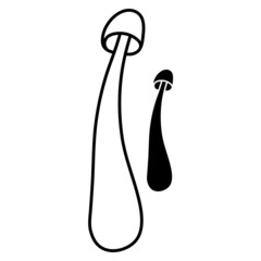 Set of mushrooms vector simple illustration isolated on white background. Outline and silhouette hand drawn sketched version. Vector mycology. Natural healthy fungus, autumn design.