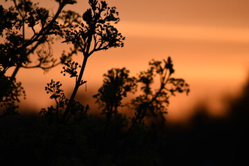 Beautiful sunbathing pictured from the terrace 