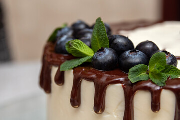 Fresh blueberries with mint in chocolate on the cake. Close-up. Image for a website about food, confectionery. Selective focus.