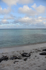 Fototapeta premium Stunning Ocean Views from Beach in Aruba