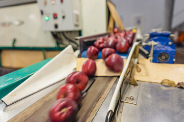 red apples on the packaging line of the enterprise - Powered by Adobe