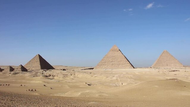 Pyramid Khafre with row of walking camels Giza, Cairo Egypt